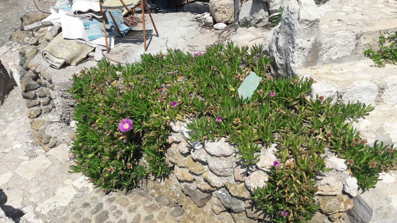Anka'S Beach 코미자 외부 사진